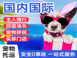 玉树巴塘航空托运国际宠物托运 【国